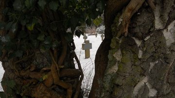 Neuer Friedhof (Winter) - Hansestadt Rostock (Kalenderwettbewerb 2019)